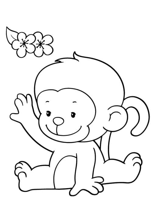 Baby Monkey