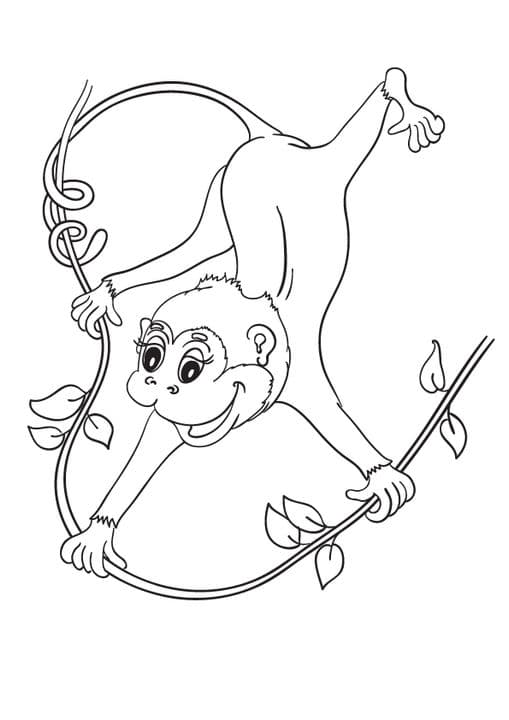 Monkey Cartoon 2
