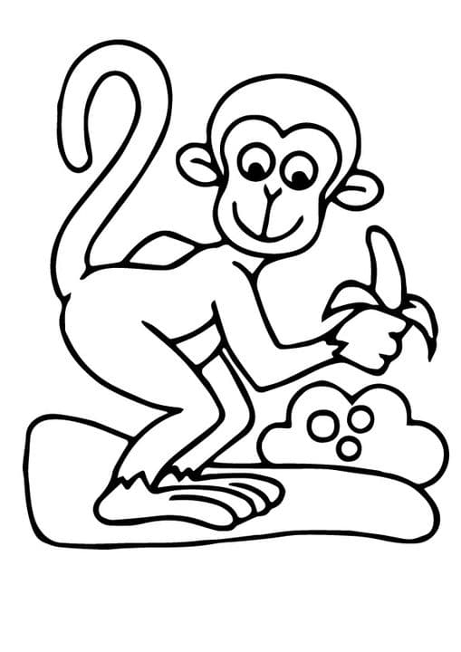 Funny Monkey