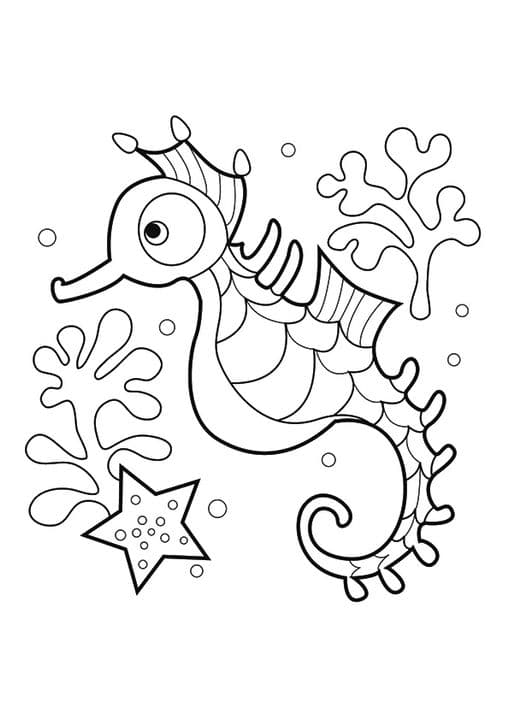 Seahorse & star