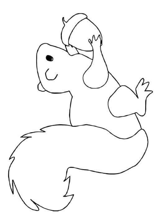 Squirrel worksheet