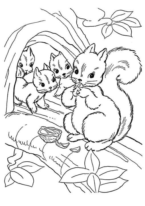 Squirrel Group