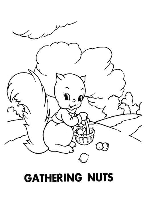 Cute Squirrel