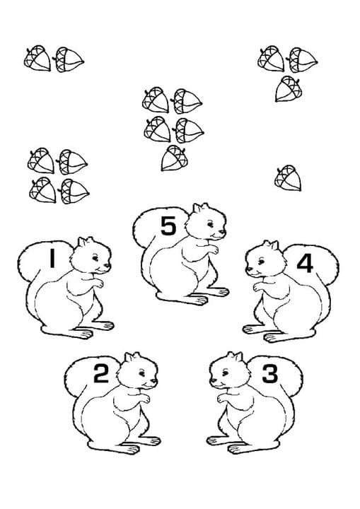 Math fun with squirrels