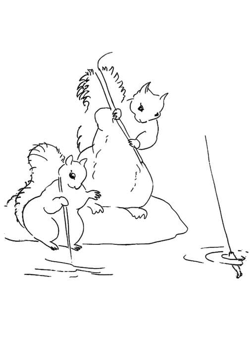 Squirrels Pair