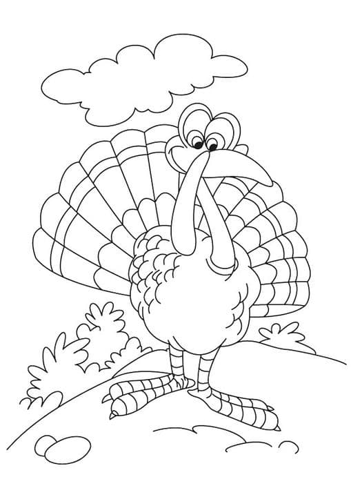 Animated Turkey