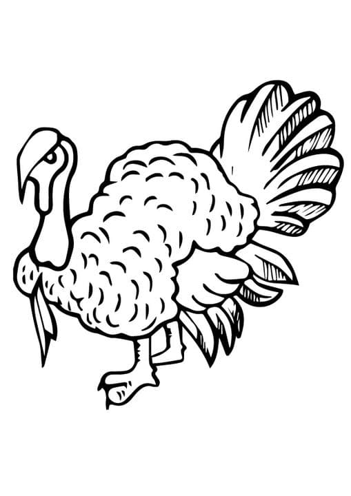 Bourbon Turkey