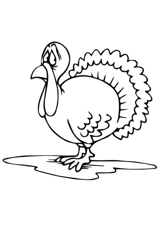 Sad Turkey