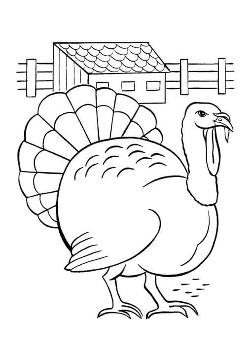 Slate Turkey