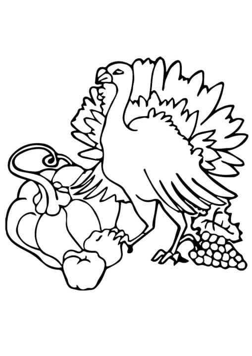 Thanksgiving Turkey