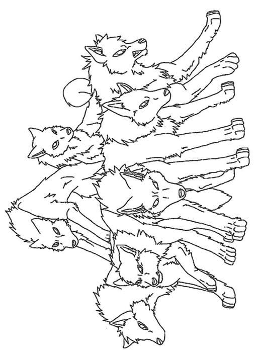 Pack Of Wolves