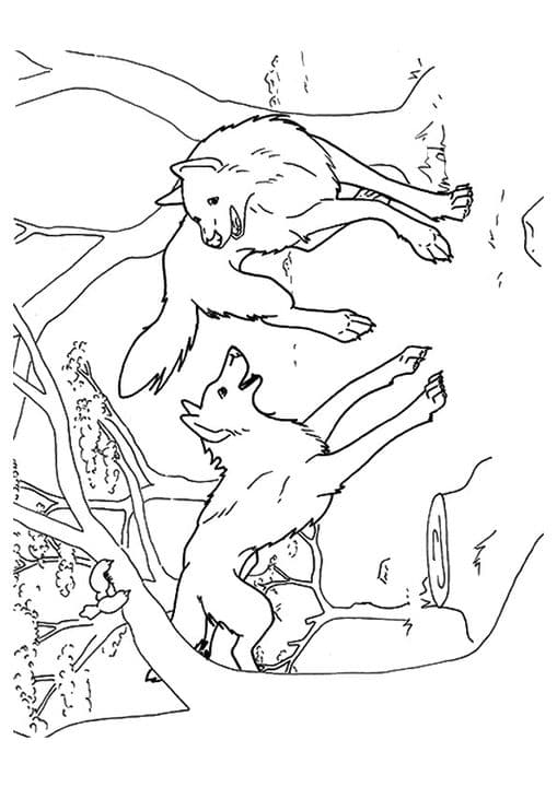 Competing wolf