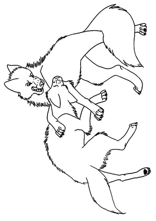 Wolves Fighting