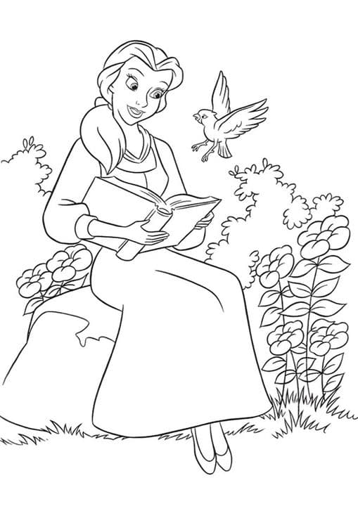 The Belle