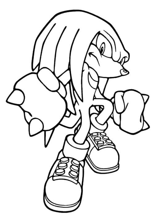 The Knuckles The Echidna