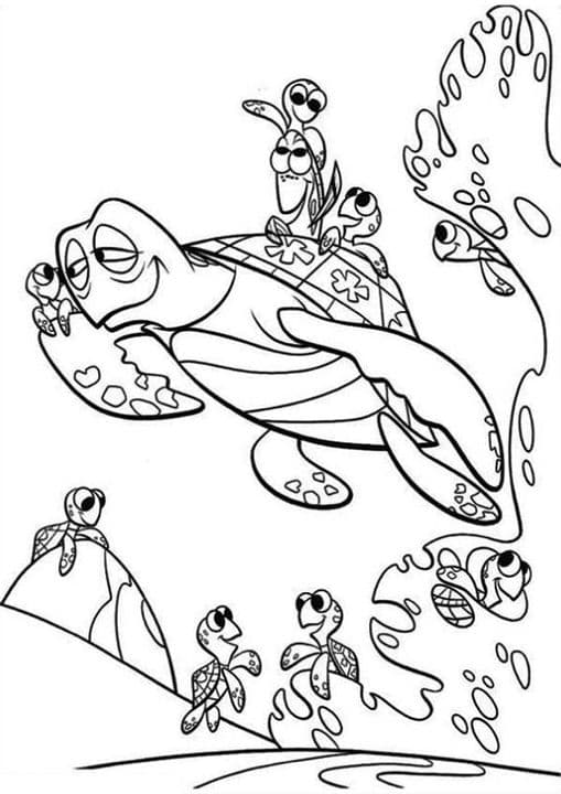 Crush Squirt and sea turtle