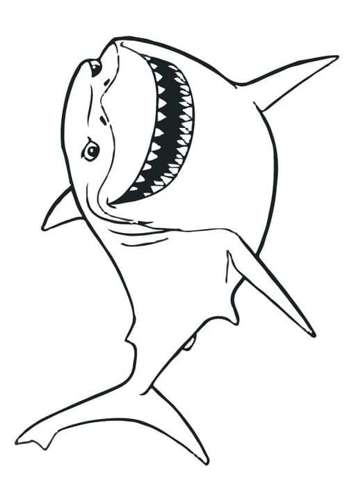 Disney Bruce fish