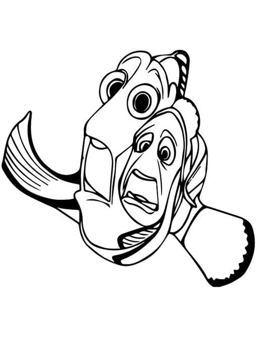 Dory and Marlin running