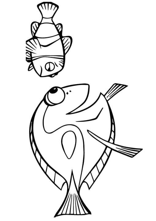 Dory and marlin are Sad