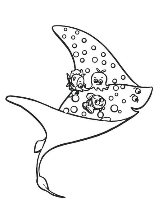 Riding on Mr Ray Nemo