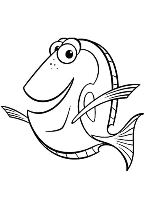 Dory Dory