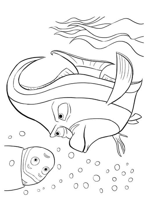 The Gill