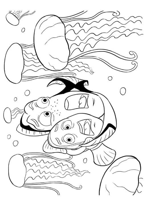 Jellyfish Attack