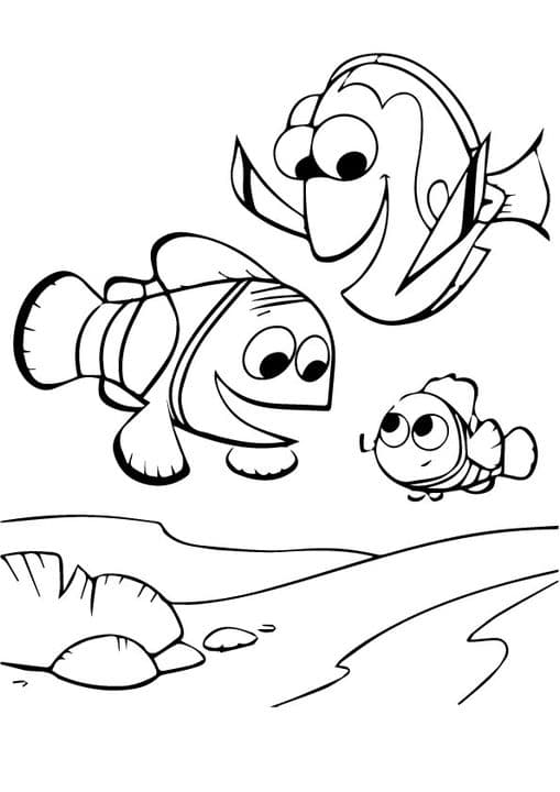 Founded Nemo