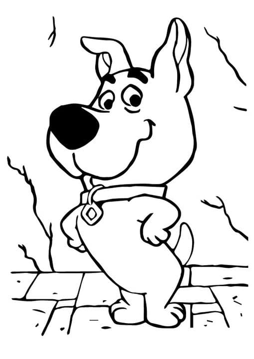 Scrappy Scooby Doo
