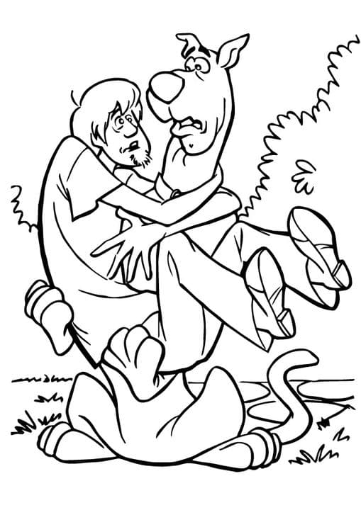 Scooby Doo & Shaggy 