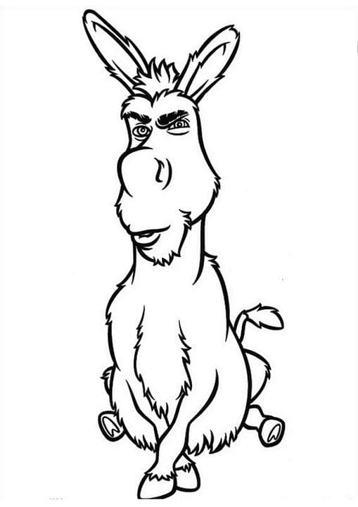 Donkey Sherk
