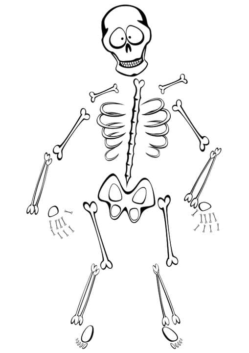 A funny Skeleton