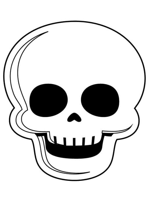 Face Skeleton