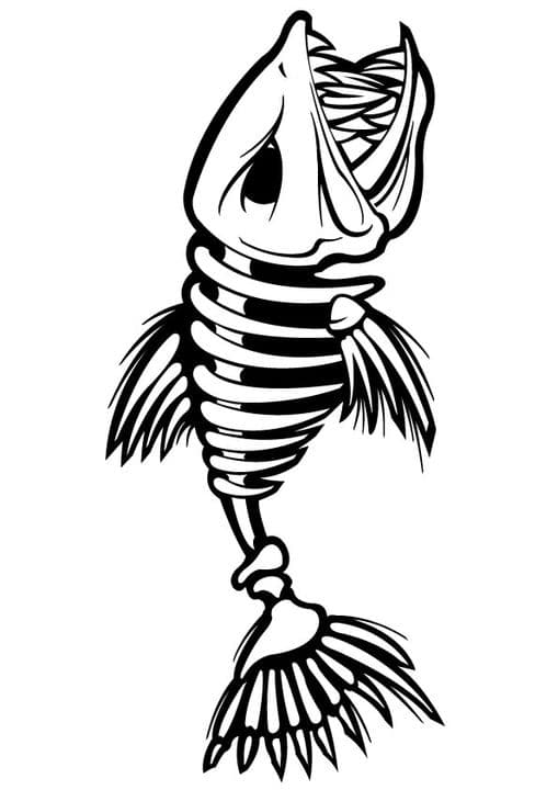 Fish Skeleton