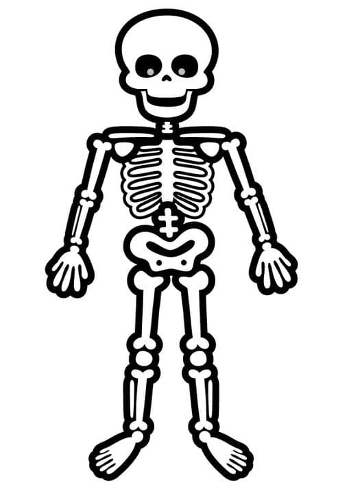 Standing Skeleton
