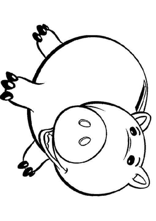 the Hamm