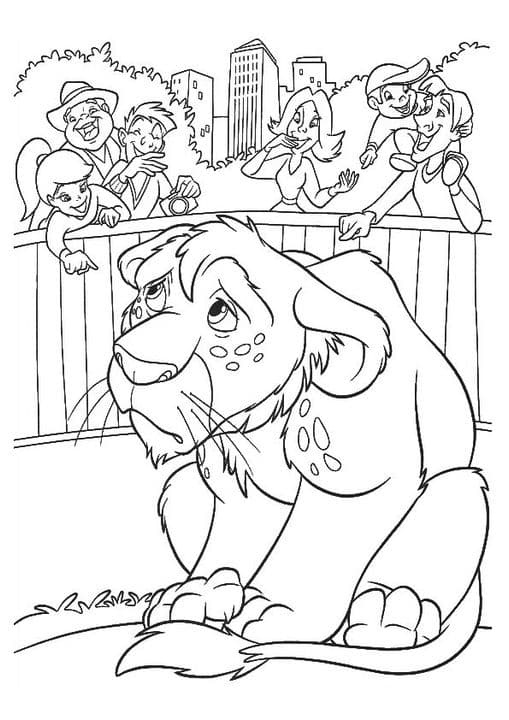Lion Cub