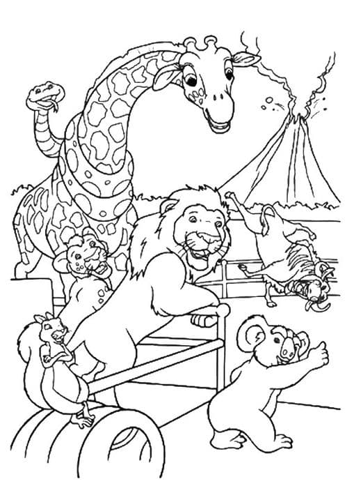 Wild Safari