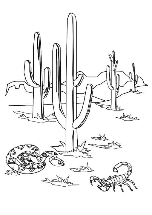 Cactus Snake & Scorpion