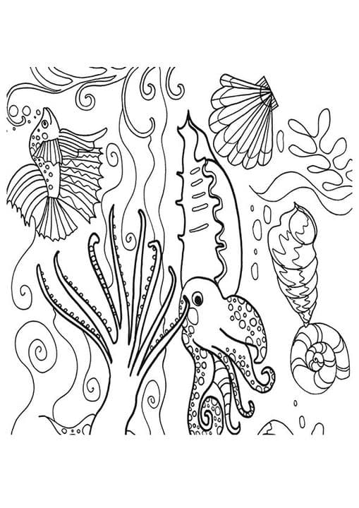 Barrier Reef