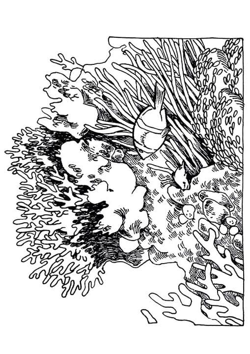 Honeycomb Shaped Coral