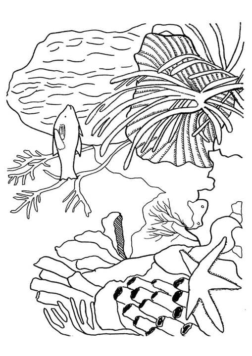 Vibrant Coral Reef