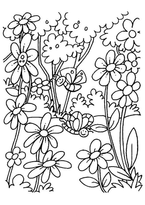 The Blooming Flowers