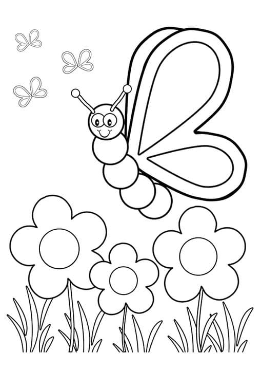 The Flower And Insect