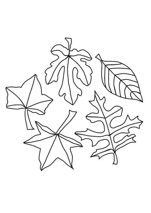 Autumn Leaves