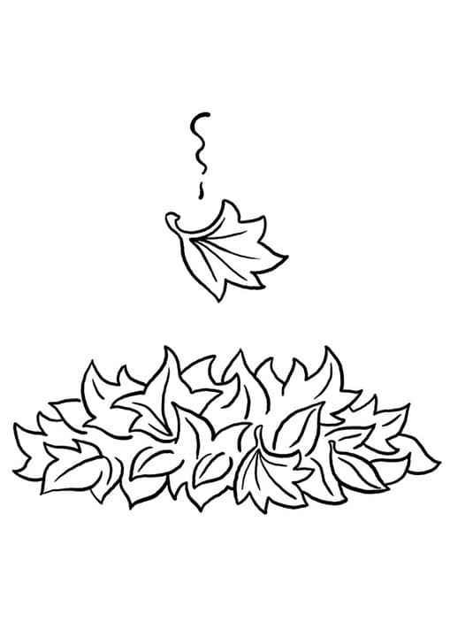 Fall Leaf