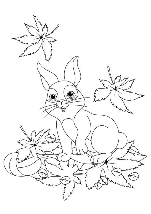 Hare Sitting in Leaves
