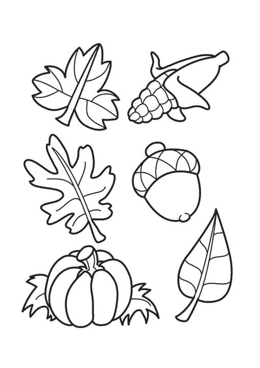 Leaves & Acorns