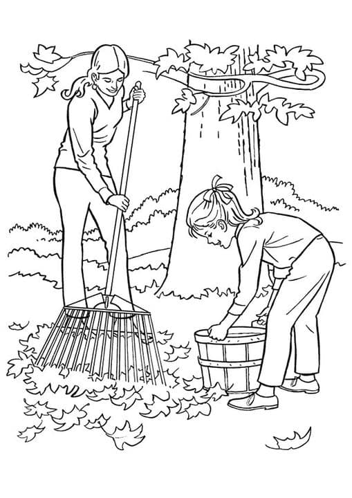 Raking Leaf
