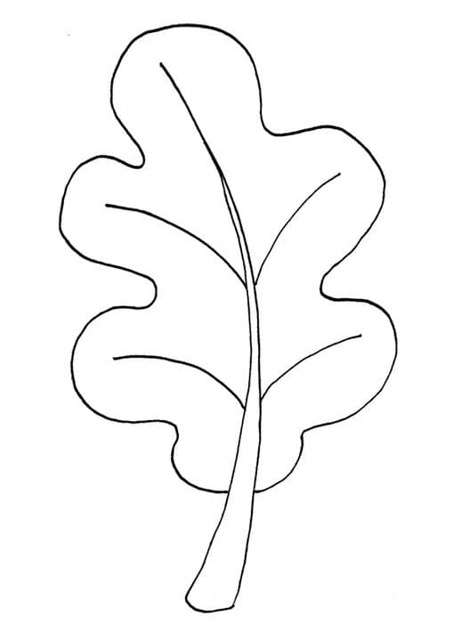 White Oak Leaf